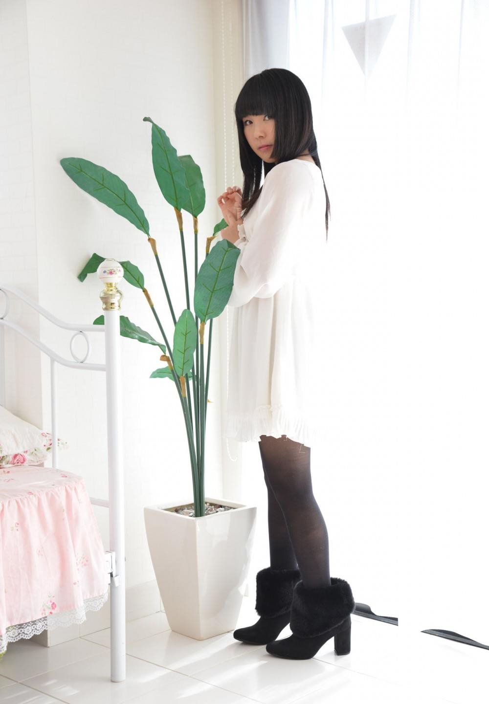 贪婪欲望之岛演员