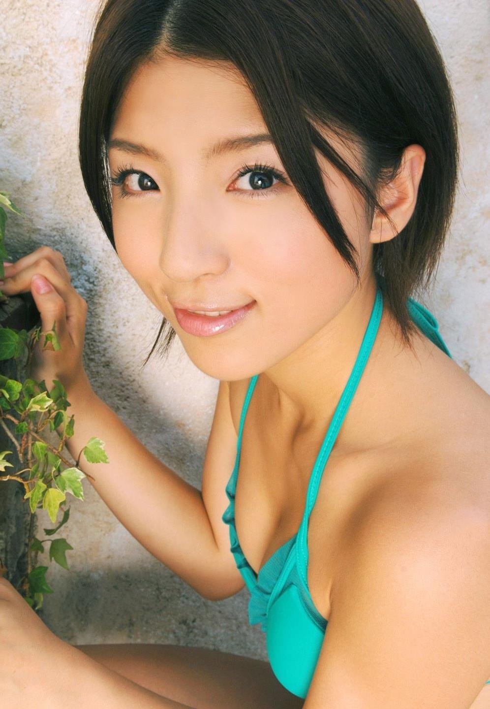 ������ĸ����Ƭ